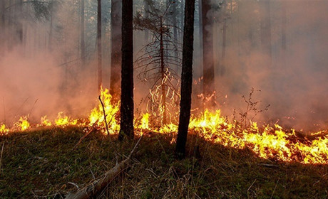 Рятувальники Сумщини попереджають про найвищий клас пожежної небезпеки