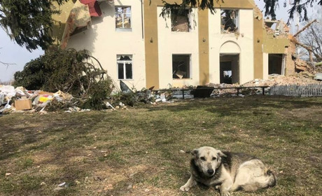 Як в умовах війни живе Бишів: розповів голова громади