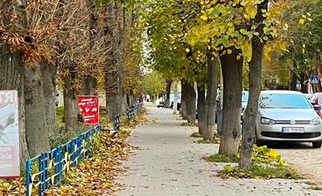 Погода у Барі: прохолодно, хмарно та з дощами наприкінці тижня