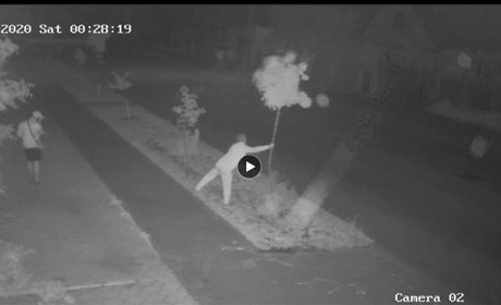 Допоможіть знайти вандалів, які вночі зламали дерева на вулиці Свободи