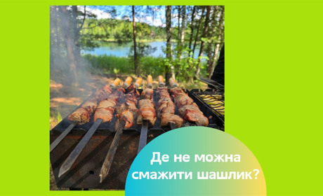 За шашлик — штраф: що потрібно знати любителям відпочинку на природі