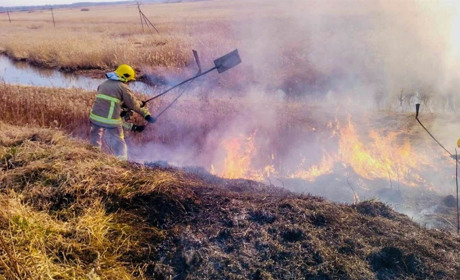 Згорів майже гектар поля: у Сарненському районі гасили три пожежі за добу