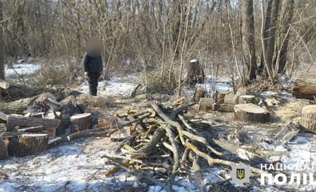 Поліція викрила чоловіка у незаконному порубі на території природо-заповідного фонду