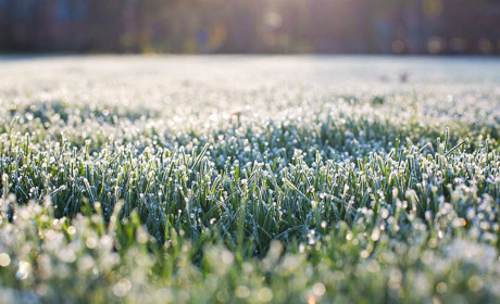 Через заморозки на Луганщині оголосили перший рівень небезпеки: що ще варто знати сватівчанам
