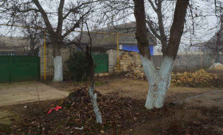 Інспекторка з благоустрою Біляївської громади нагадує: не залишайте хмиз, лозу, гілля біля дворів