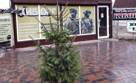 Купіть ялинку в горщику. Згодом висадіть її на ділянці, або у волноваському парку