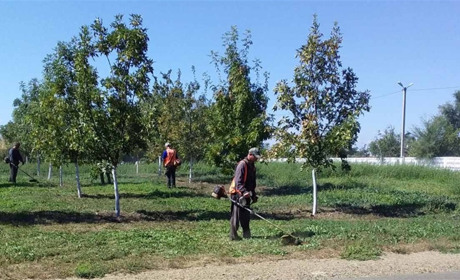 Комунальні будні: чим наразі займаються біляївські комунальники