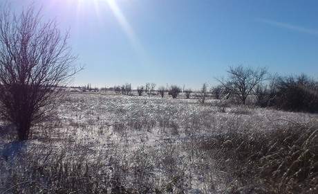 Туманно та без опадів: прогноз погоди на найближчі дні