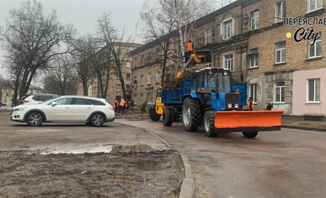 У Переяславі на вулиці Фабричній обрізають гілки дерев: у ВУКГ запевнили, що стовбури залишаться