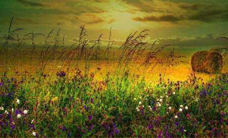 З понеділка очікуємо короткочасні дощі, а ще за тиждень може повернутися спека: прогноз погоди