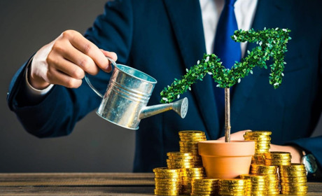 Основные особенности сотрудничества с Freedom Finance