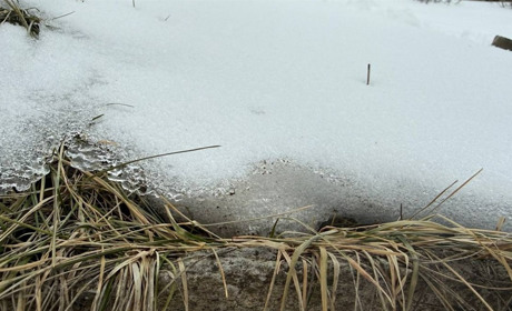 Мороз, дощ і лід: чи справді поля Первомайщини залишаться без врожаю