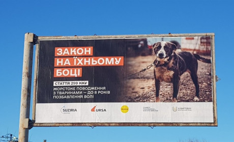 Врятована рись, бумеранг добра для переселенки: організація URSA про досвід захисту прав тварин