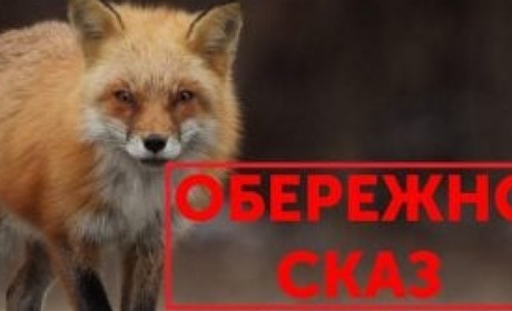 Мешканців Великобурлуччини попереджають про небезпеку захворювання на сказ