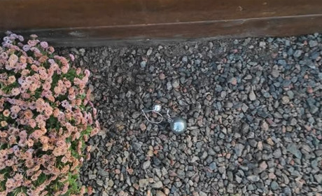 У Первомайську вкрали ялинку з могили воїна — мати звертається до всіх, хто ще має людську гідність