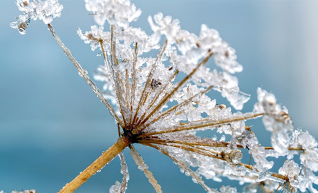 Якою буде погода у Сватовому і районі у останні дні січня: прогноз з 25 по 31 січня 2021