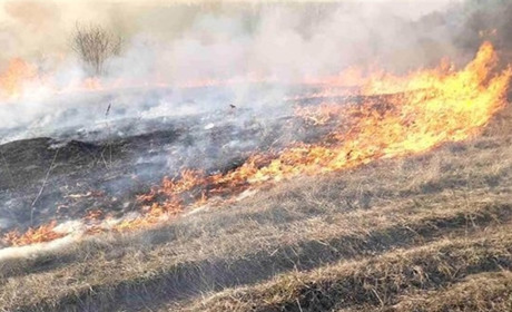На вихідних рятувальники чотири рази виїжджали на загоряння сухої трави