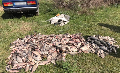 Пограничники поймали на горячем браконьеров, чем незаконный улов оценивается в 100 тысяч гривен