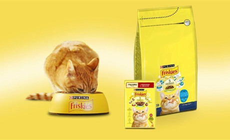 Friskies для котів: доступний корм із повноцінним раціоном