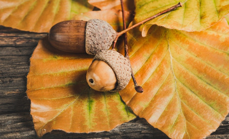 Якою буде погода на Сватівщині з 6 по 12 вересня 2021: прогноз на тиждень