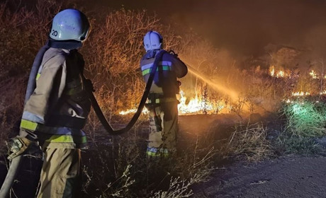 Війна нищить не лише долі, але й природу. Про нищівний вплив бойових дій свідчать дані екологів