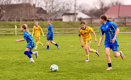 Турнір пам'яті Максима Левковського: перехідний кубок залишився у Звягелі