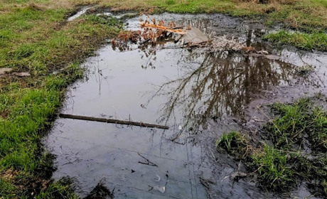 У Нерубайській громаді чоловік зливав нечистоти у землю: його оштрафували