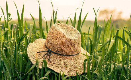 Про проблеми і перспективи фермерства на Володимиреччині розповідає заступник голови РДА