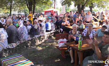 Уперше День сіл відсвяткували жителі Дем’янець та Харківець (ФОТОРЕПОРТАЖ)
