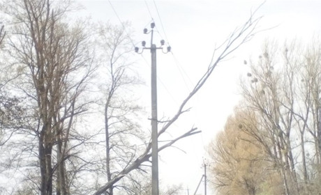 280 заявок по місту та 27 сіл частково або повністю без світла: наслідки сильного вітру 