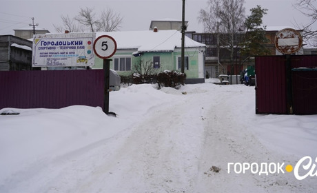 Лисиці в Городку: мешканці повідомляють про небезпечне сусідство у центрі міста