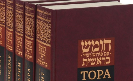 Евреи готовы изучать Тору днем и ночью, дома и в гостях, от юных до очень седых