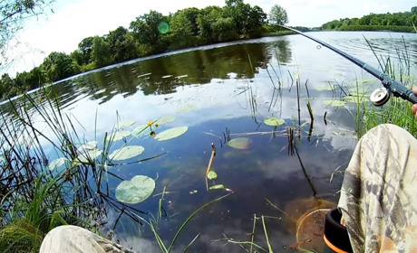 Чим ловити рибу в червні і до якого числа діють заборони: інформація для рибалок Білопільщини