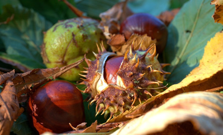 Якою буде погода у перший тиждень вересня у Сватовому і районі