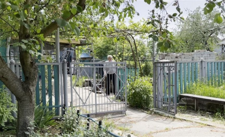 Будинки підтоплені, а городи перетворюються на річки: як живуть люди у Веселій Іванівці