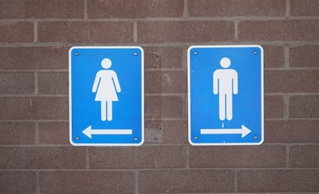 У школах Володимиреччини продовжують облаштовувати вбиральні