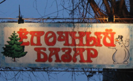 Сколько стоит новогодняя елка в Никополе