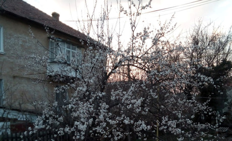 До Херсонщини дійшла хмара пилу із Сахари: чим це загрожує