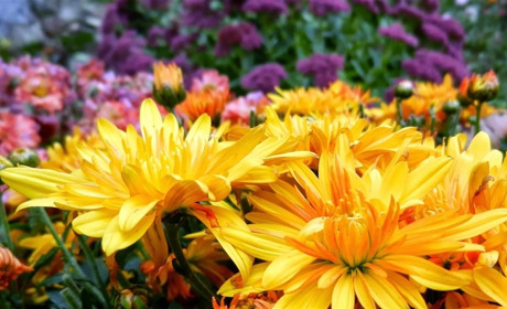 Как провести выходные в Мелитополе и Мелитопольском районе 6-7 октября