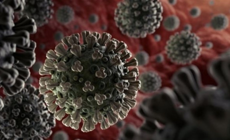 Підтверджений 1 випадок захворювання на COVID-19 серед мешканців Мелітополя