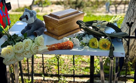 В Одесі попрощались з собакою Кєтті, яка загинула внаслідок ракетного удару РФ