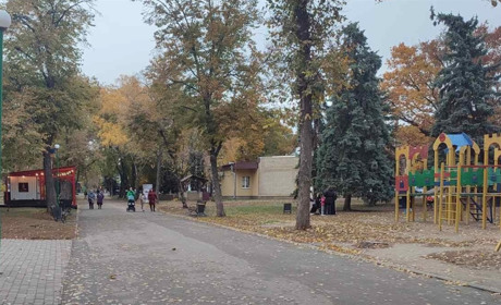 В Краснограді сім’я переселенців допомогла викрити крадійку дитячих візочків