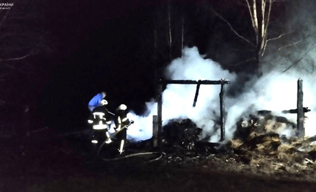 Вогнеборці загасили пожежу в дерев'яному сіннику — полум’я ледь не перекинулося на оселю