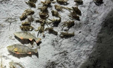 У Переяславі браконьєр наловив раків та окунів на понад 155 тисяч гривень