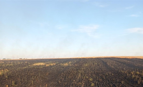 У селі Яблунівка Ржищівської ОТГ горіла стерня