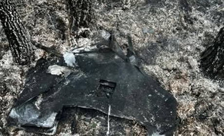 Уламки "шахеда" спричинили лісову пожежу на Житомирщині