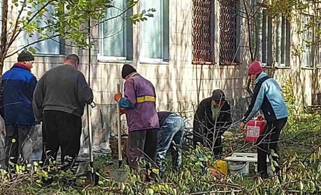 Ще п’ять громад області організовують суспільно корисні роботи за Програмою «Армія відновлення»