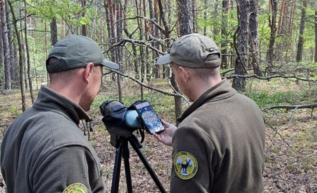 Єнотоподібні собаки та лелека чорний помічені у заповіднику на Житомирщині