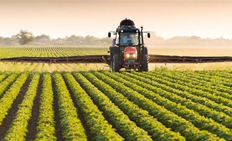 Біляївська міська рада розробила інструкцію для агровиробників: як обробляти поля, щоб не шкодити