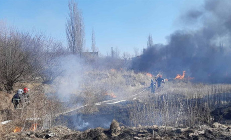 Палиш траву — сплачуй штраф! Городоччан почали притягувати до адмінвідповідальності